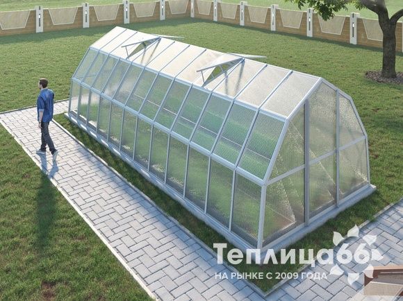 Теплица Рада Рица из поликарбоната, 3x8 метров, белая